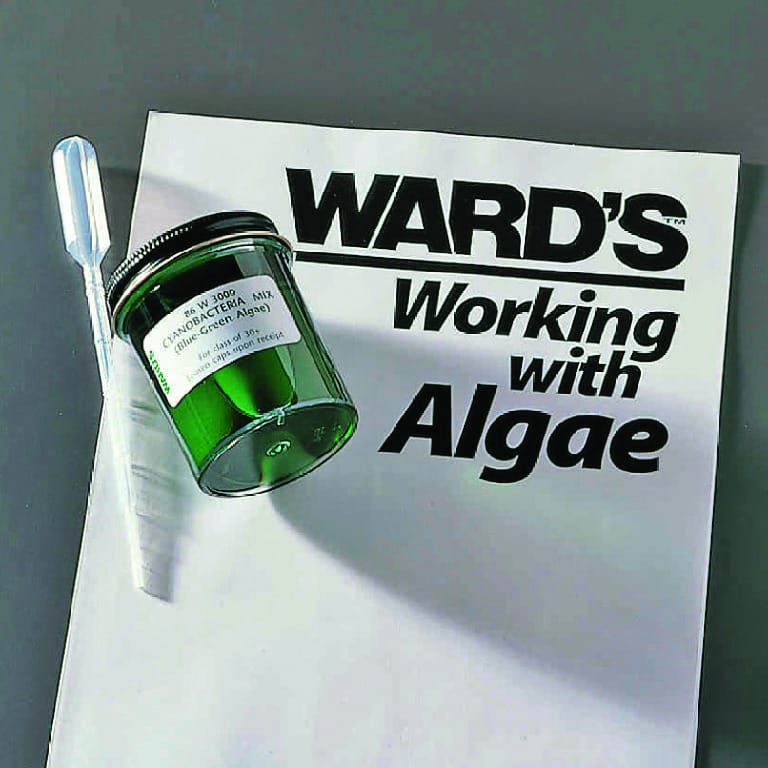 Ward's® Live Cyanobacteria Mixture