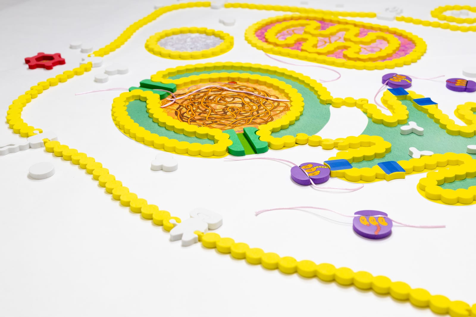 Cell Modeling Kit