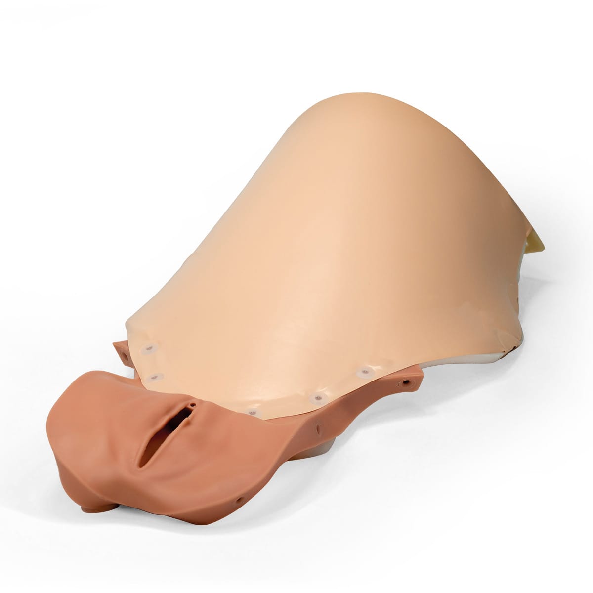 3B Scientific® Post Partum Hemorrhage Trainer