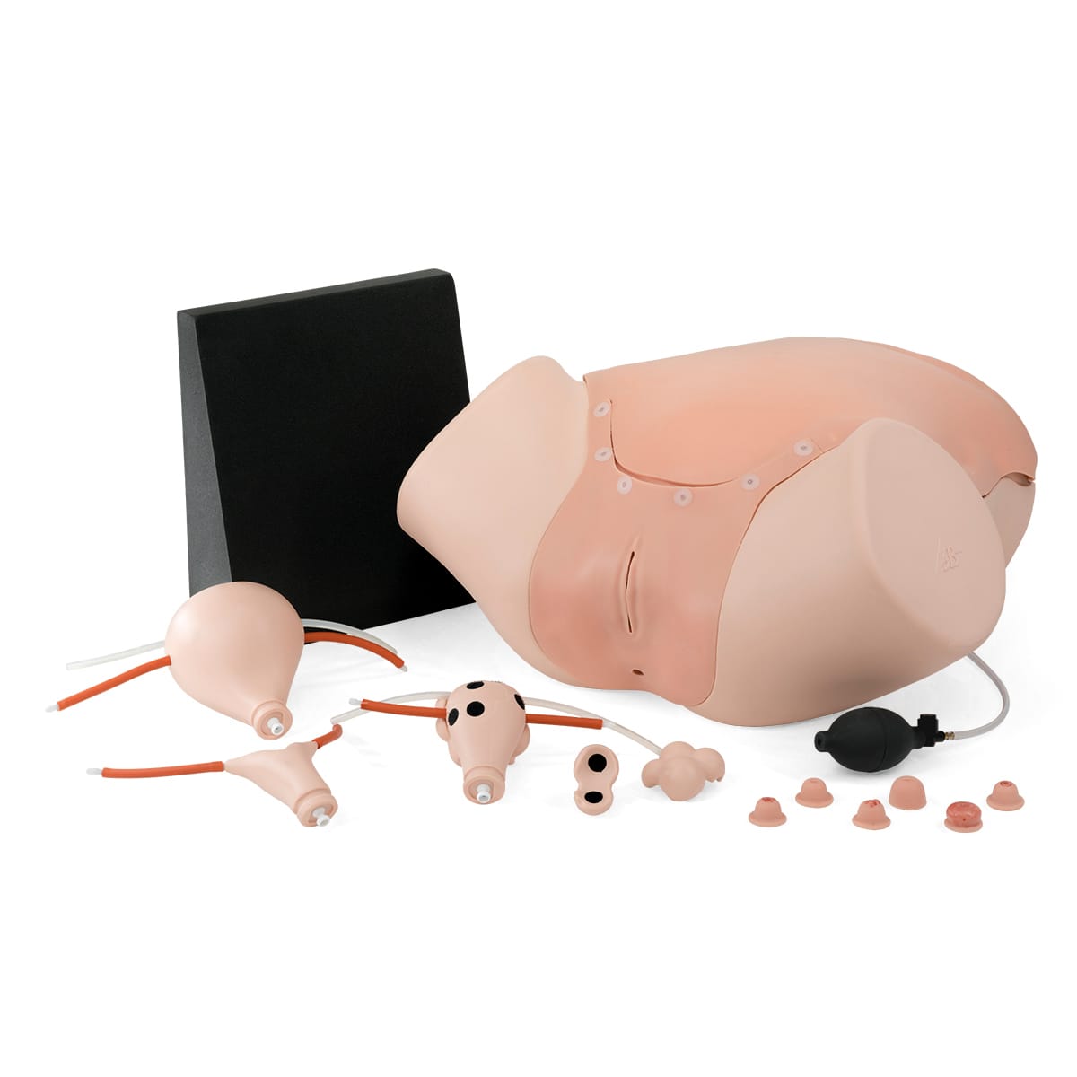 3B Scientific® Gynecologic Skills Trainer