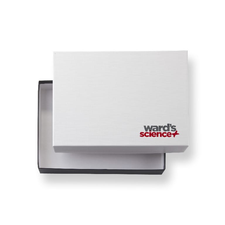 Ward's® Rock and Mineral Boxes
