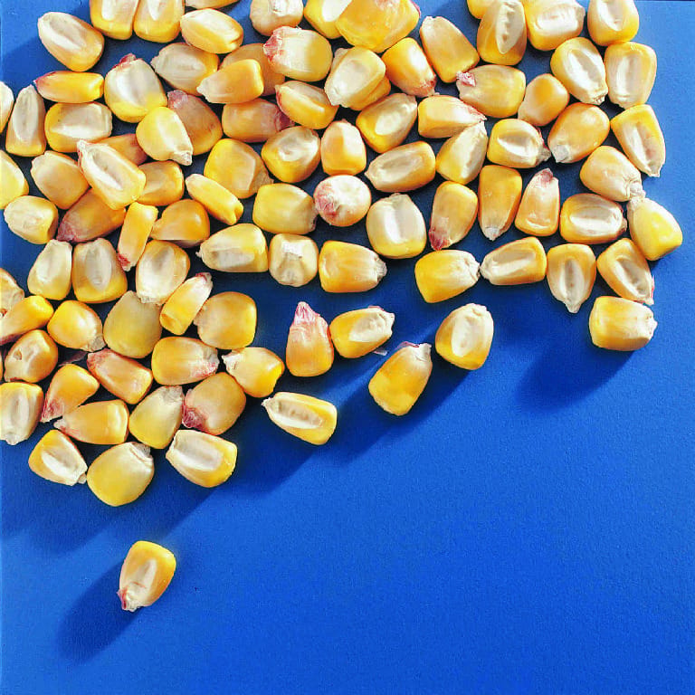 Genetic Ratio Seeds