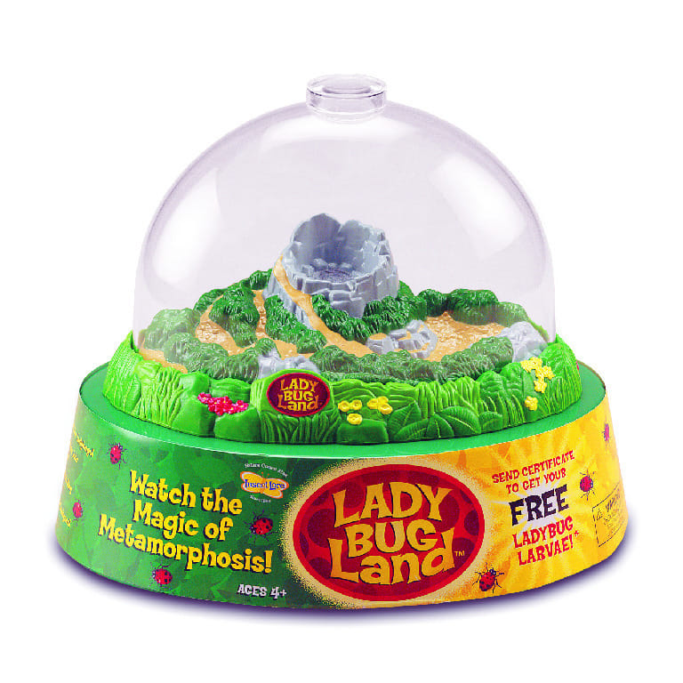 Lady Bug Land