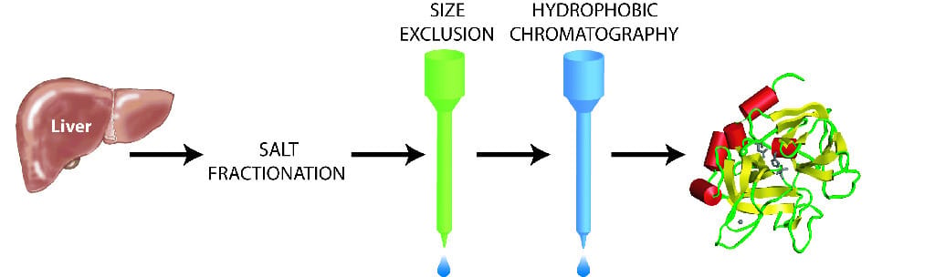 Antigen Antibody Interaction Activity Kit