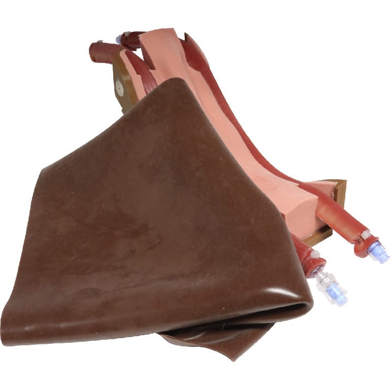 Med Dimensions® Canine Jugular Access Trainer
