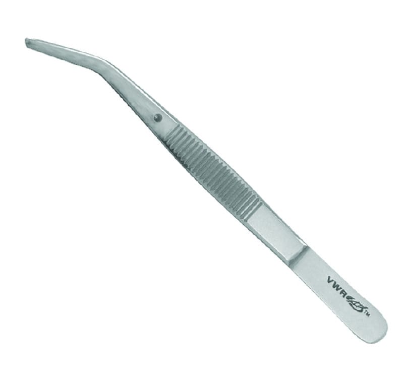 VWR® Dissecting Forceps, Curved | VWR, part of Avantor