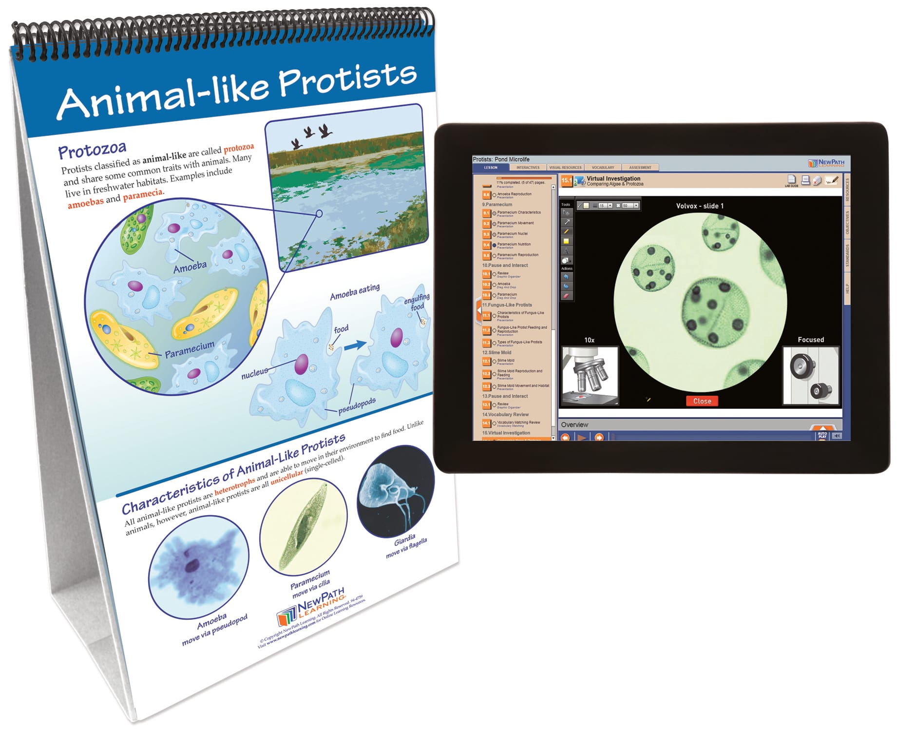 NewPath® Life Science Skill Builder Flip Charts with Multimedia Lessons