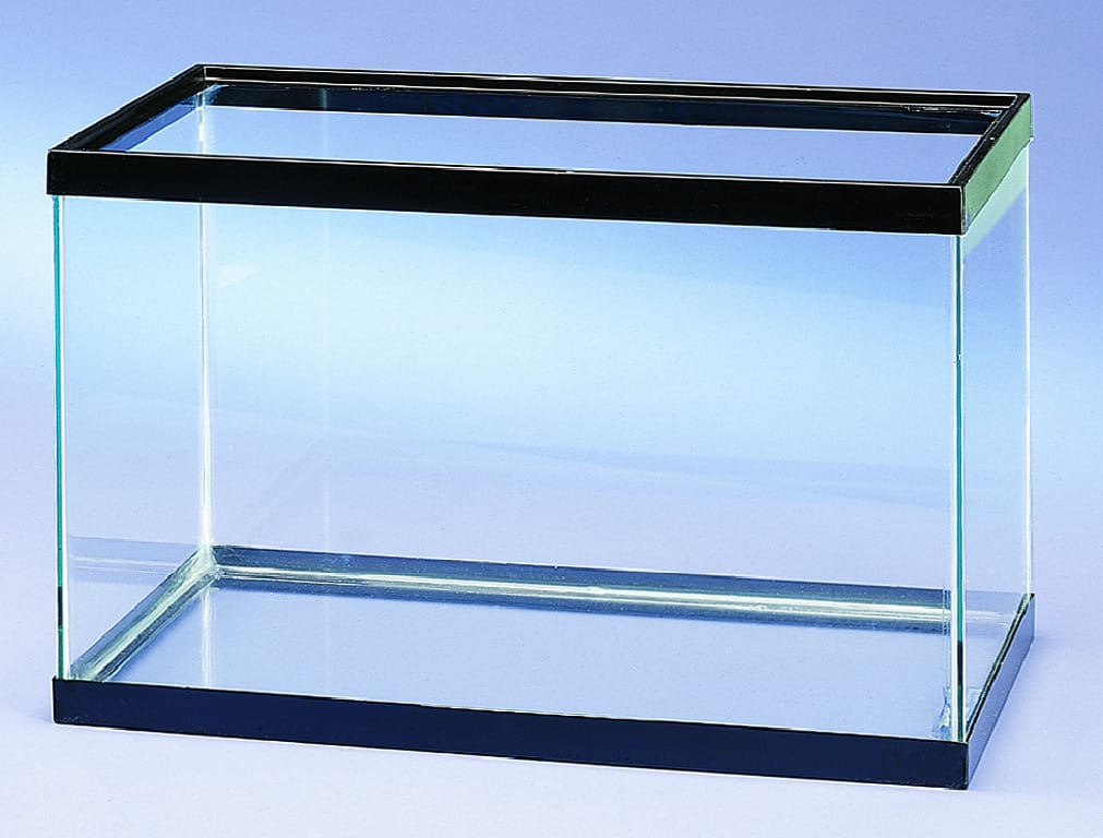 All Glass Aquaria