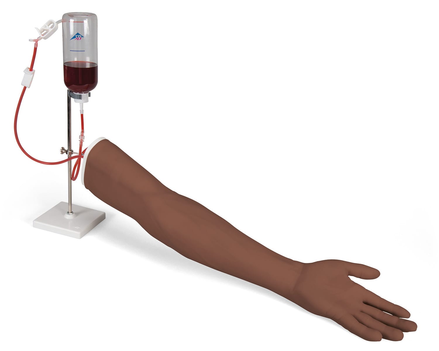 3B Scientific® I.V. Injection Arm