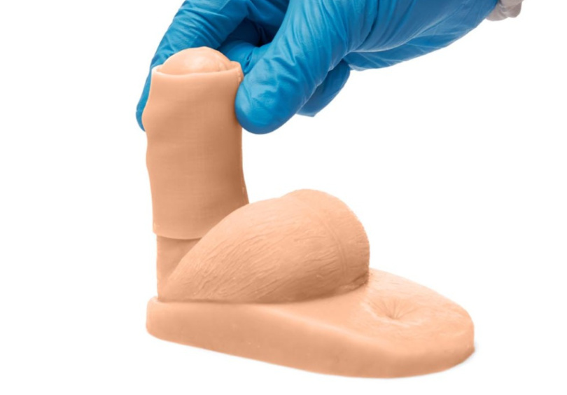 Medicor® Male Hygiene Training Models