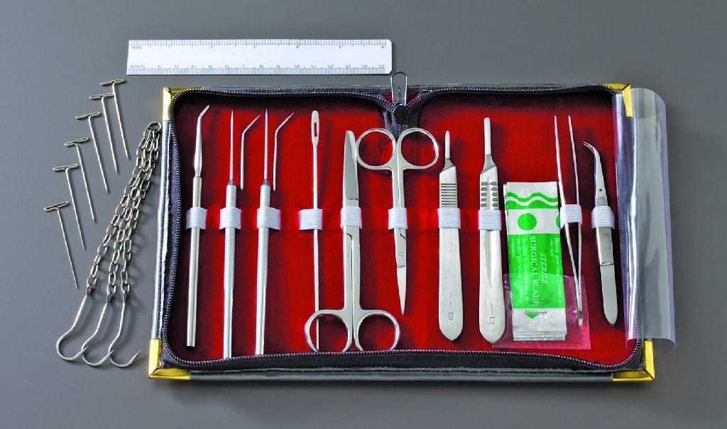 Ward's® Advanced Zoology Dissecting Set