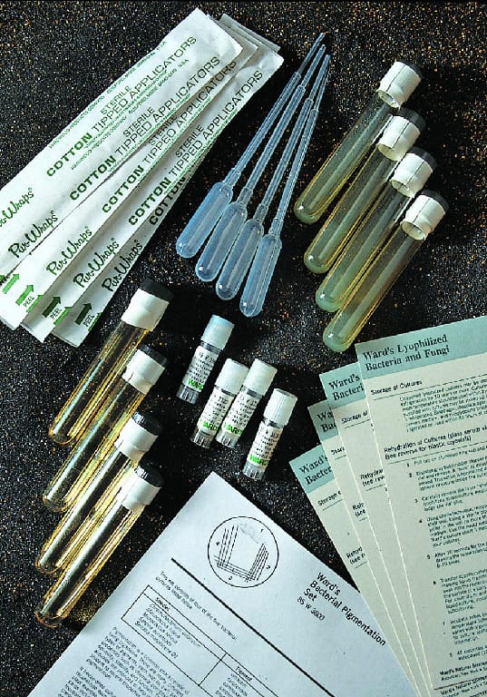 Ward's® Pigmented Bacteria Set