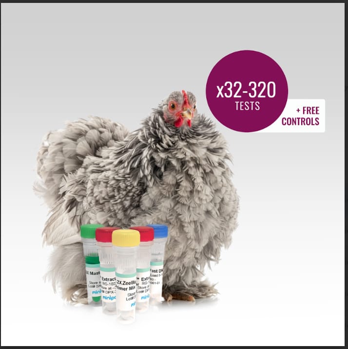 miniPCR® Frizzle Chicken DNA Test