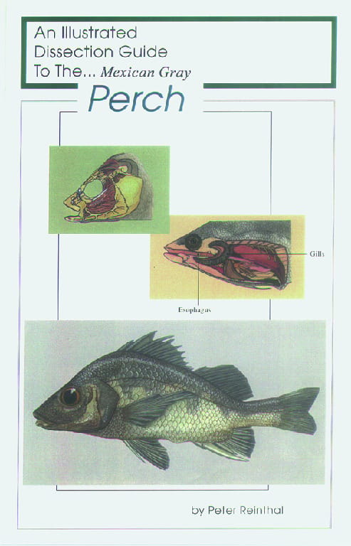 Illustrated Dissection Guides