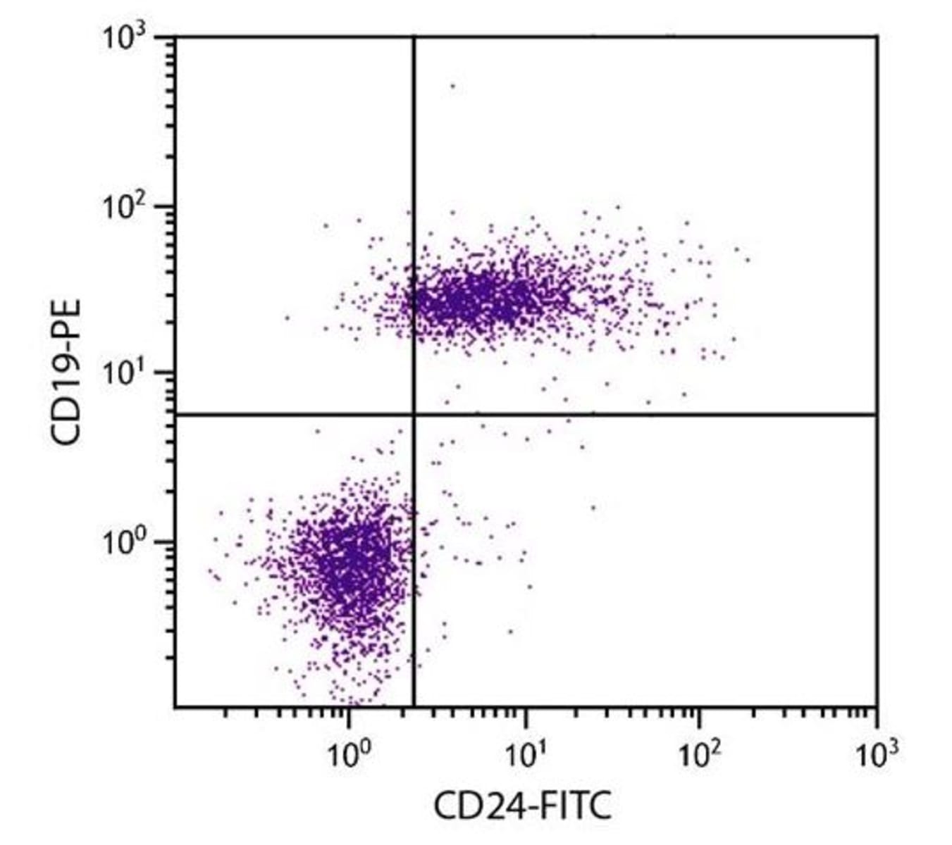 Anti-CD24 Rat Monoclonal Antibody [clone: 30-F1] FITC (Fluorescein ...