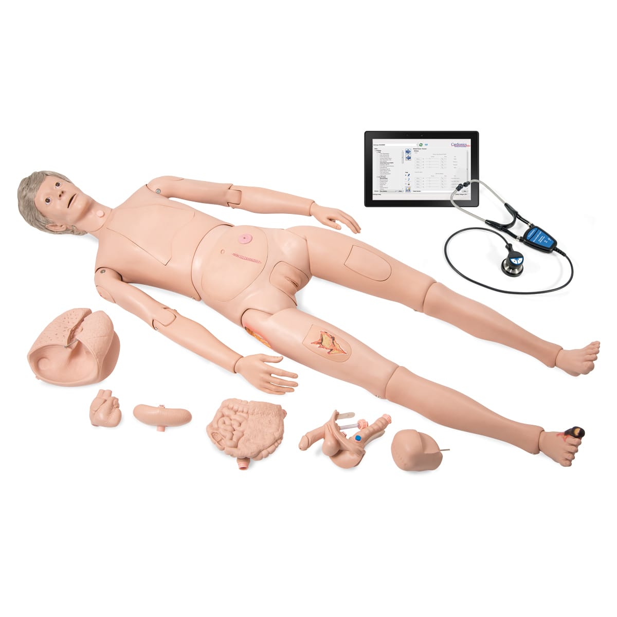 3B Scientific® Nikki the Nursing Manikin with Auscultation