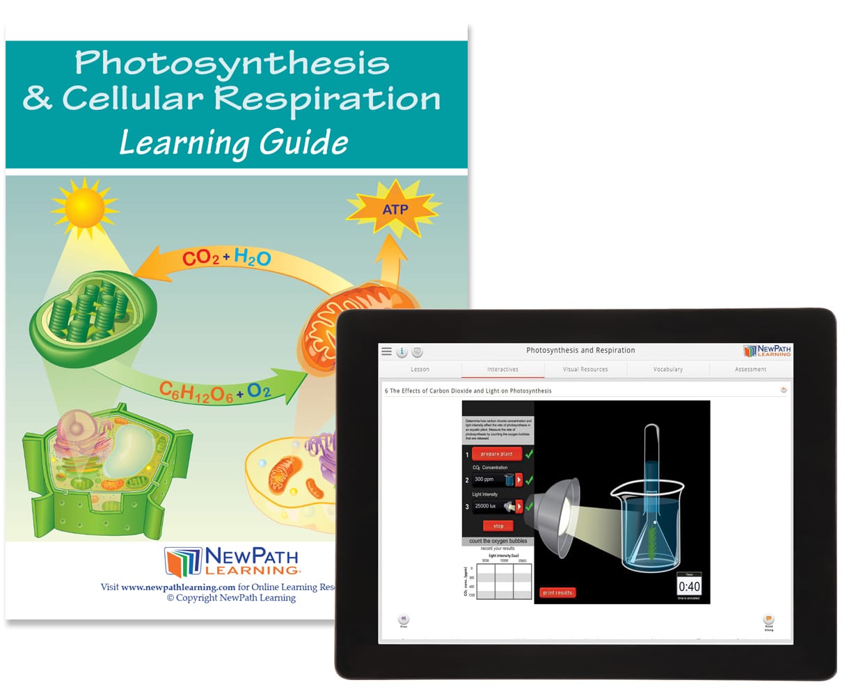 NewPath® Study Guides with Online Lesson