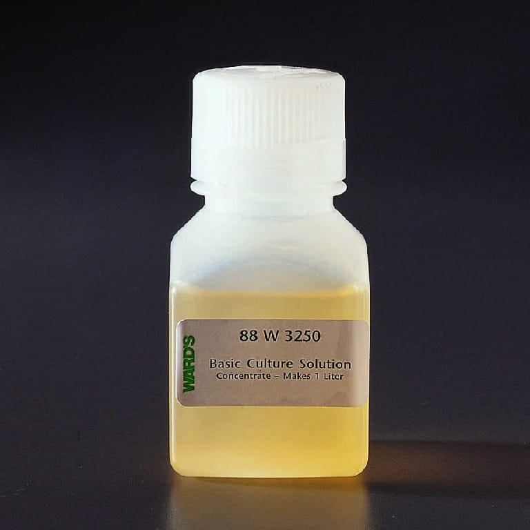 Basic Algae Culture Solution