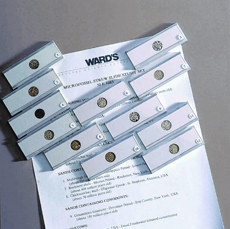 Ward's®  Microfossil Strew Slide Set