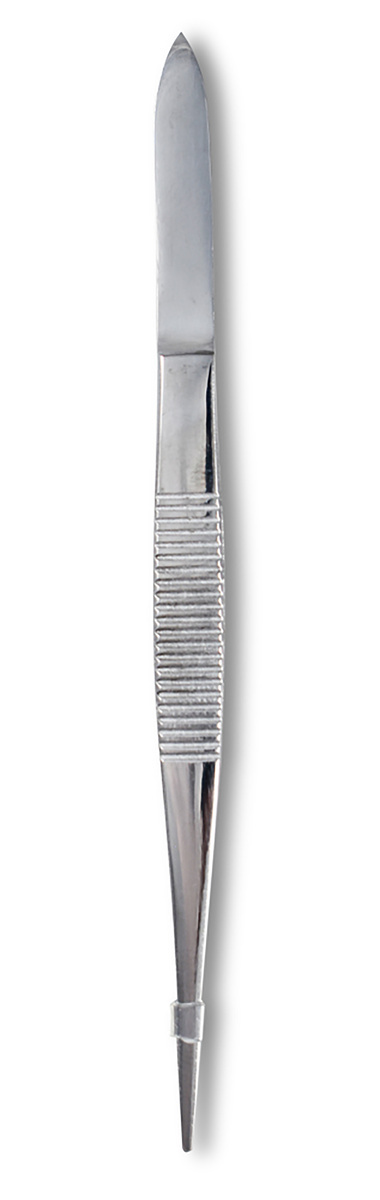 Dissecting Forceps