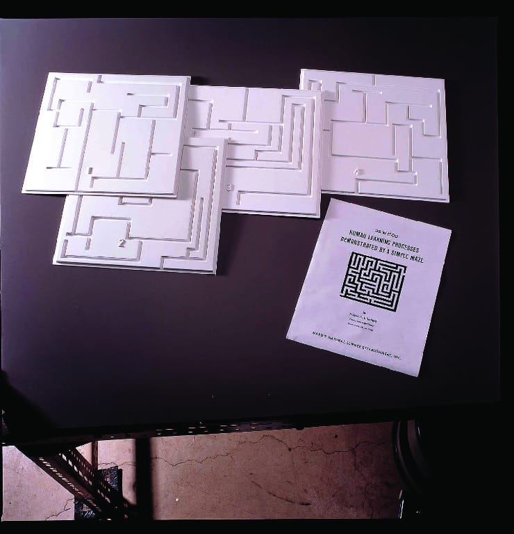Ward's® Finger Maze Set