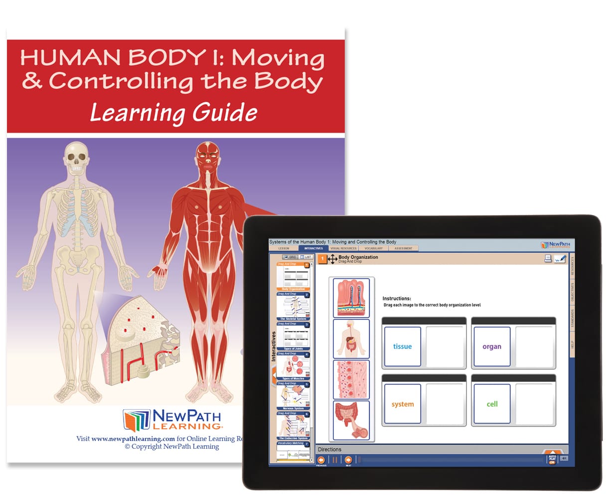 NewPath® Study Guides with Online Lesson