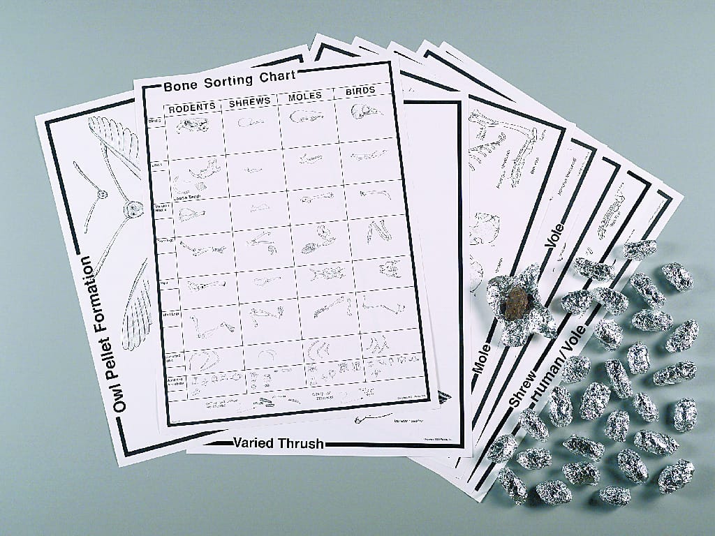 Deluxe Owl Pellet Kit