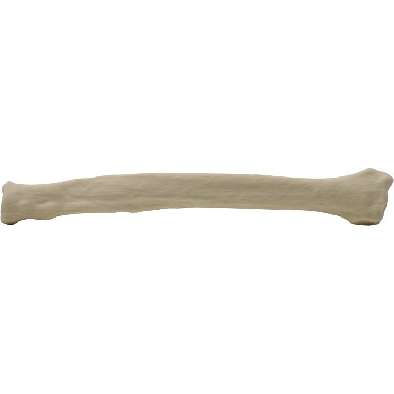 Med Dimensions® Vet Bones, Canine