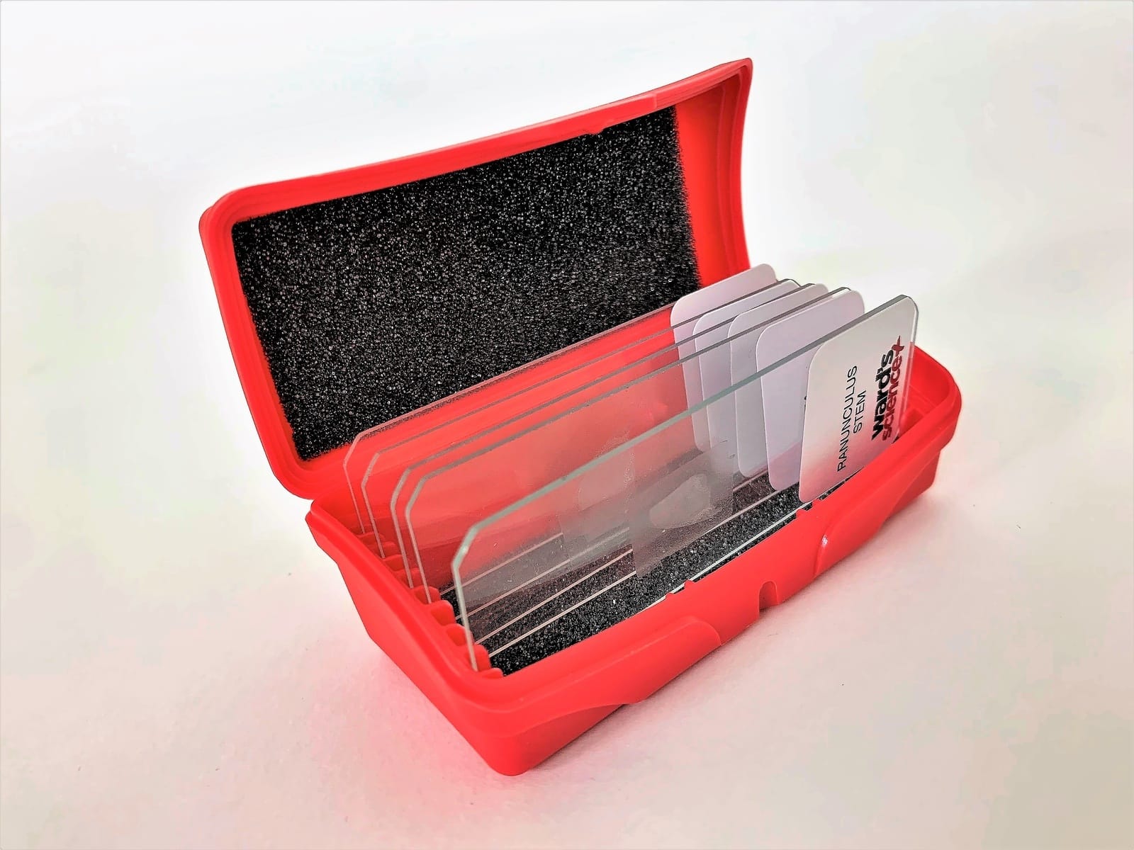 Ward's® Unstained Microscope Slides