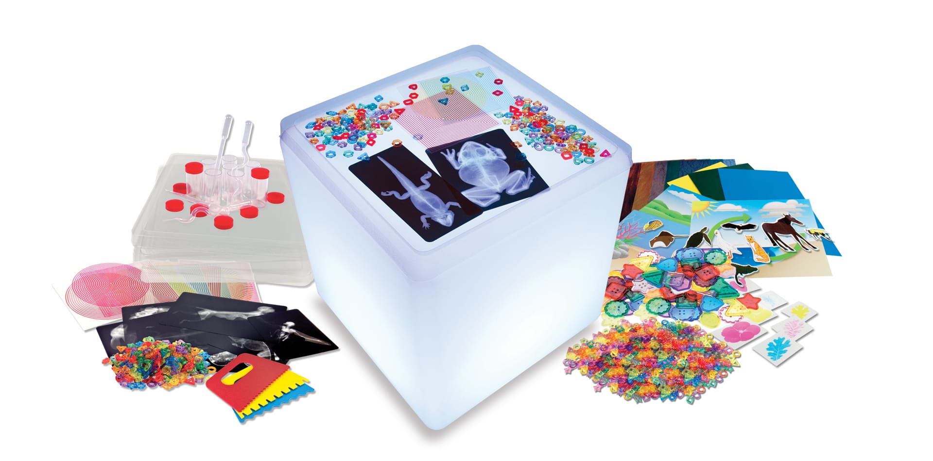 Educational Light Cube