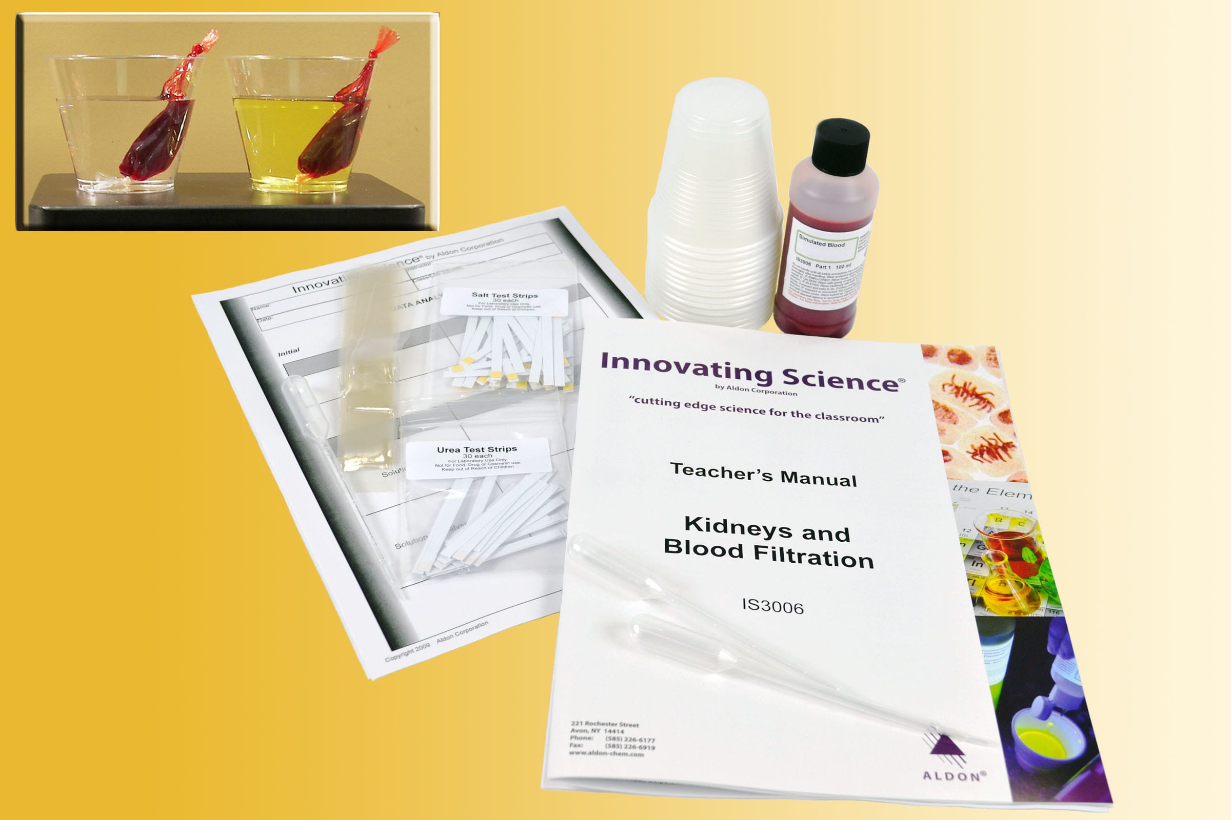 Innovating Science® Kidneys and blood filtration lab activity