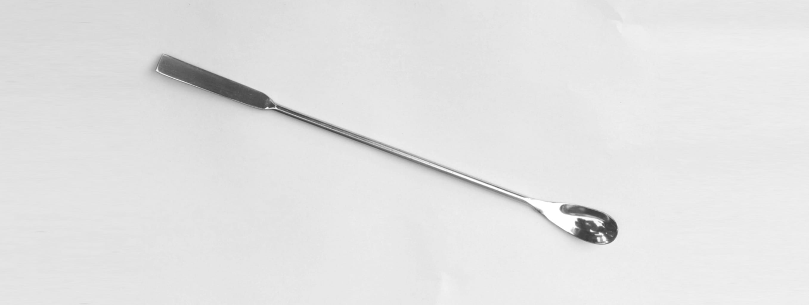 Stainless Steel Spoon/Spatula