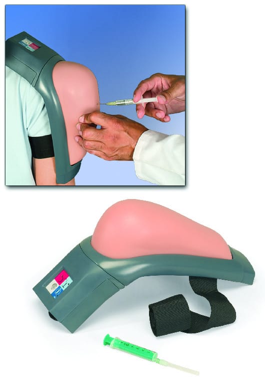 3B Scientific® Intramuscular Injection Simulators