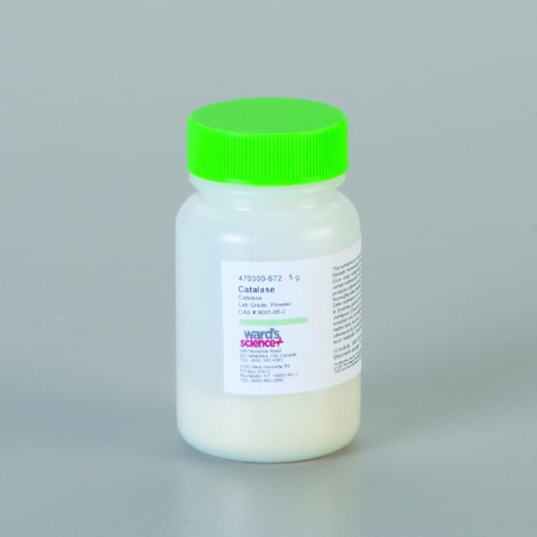 Catalase