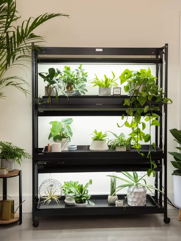 Sunlite® LED Growing Centers
