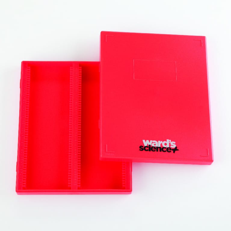 Ward's® Plastic Slide Boxes
