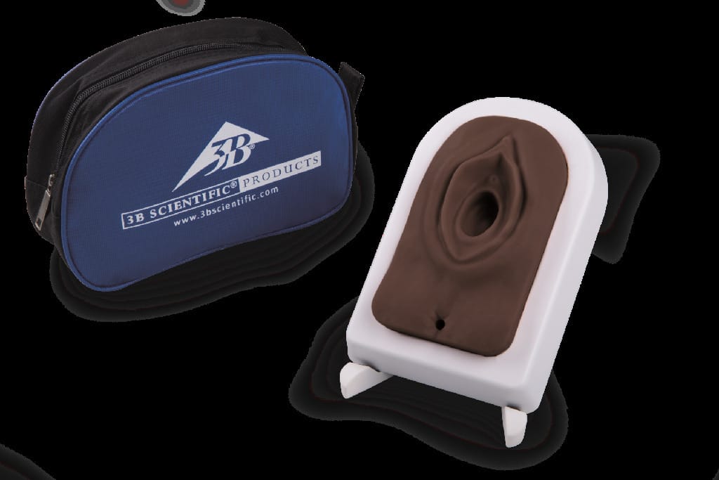 3B Scientific® Episiotomy Suture Trainer