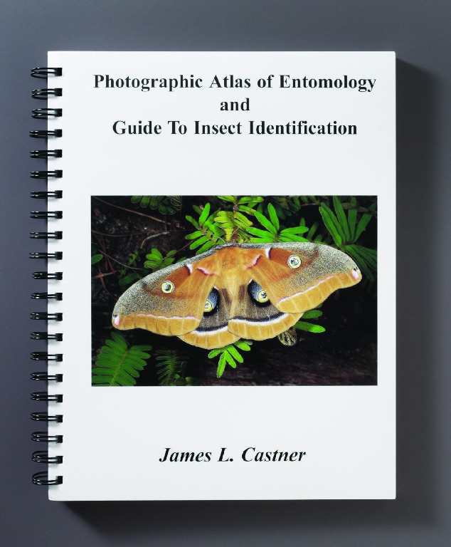 Photographic Atlas