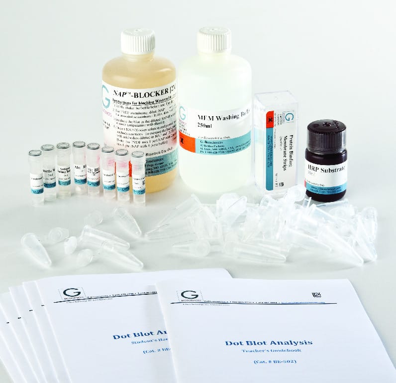 Dot Blot Analysis Activity Kit