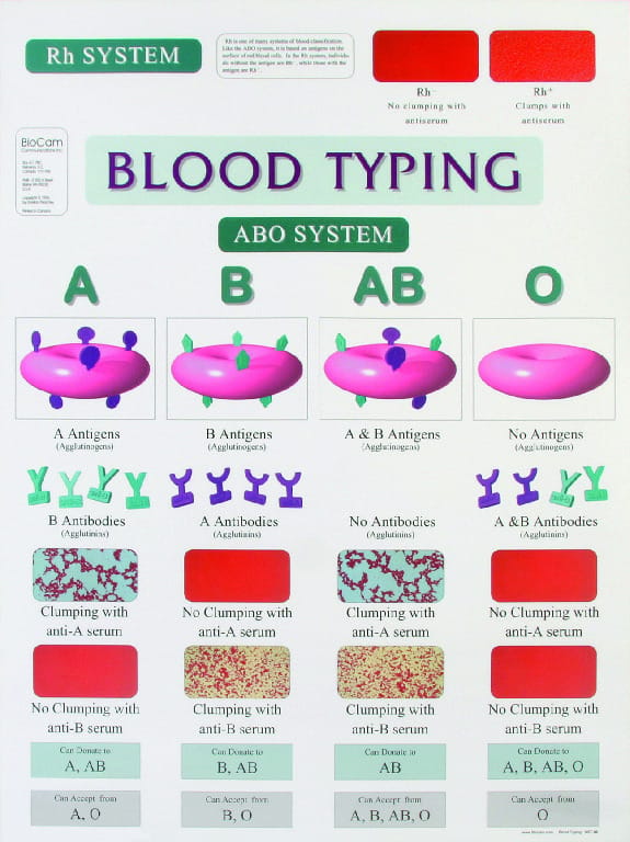 Biocam Mircohistology Charts