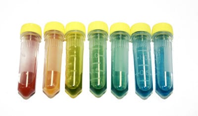 The Future of Biofuels - Alcohol Fermentation, Edvotek