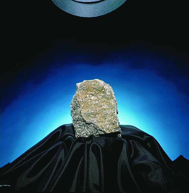 Ward's® Schist (Mica)