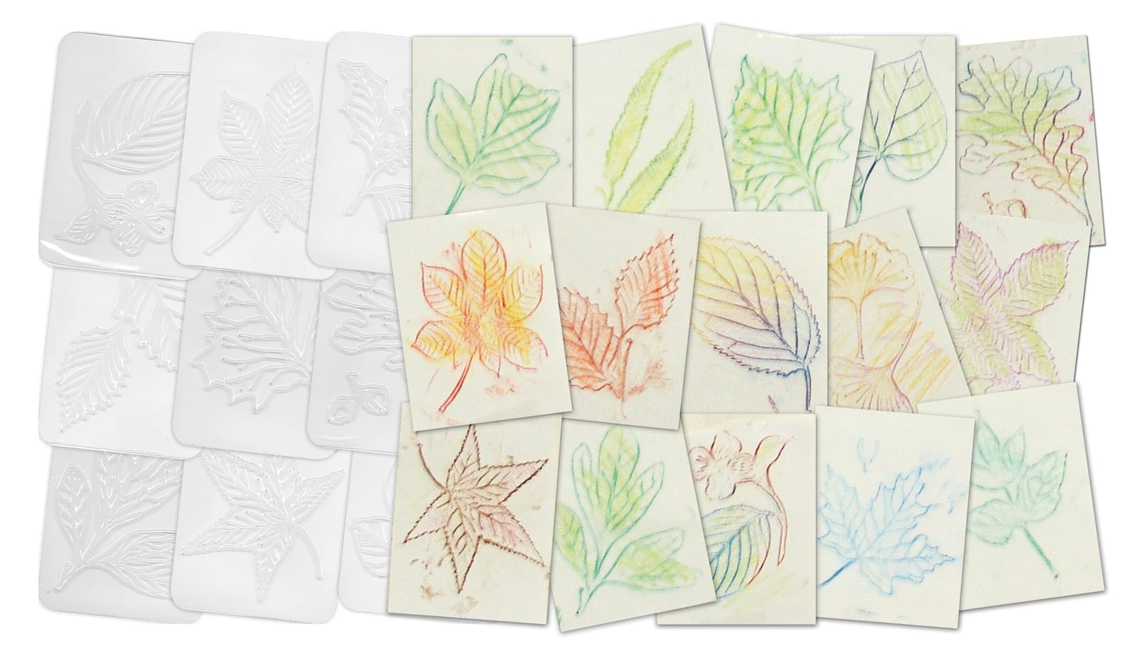 Nature Rubbing Plates