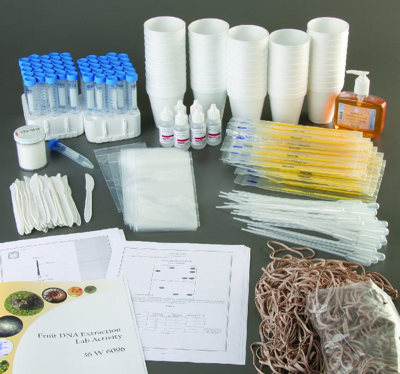 Ward's® Fruit DNA Extraction Activity Lab Activity
