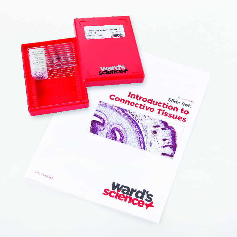 Introductory Connective Tissues Slide Set