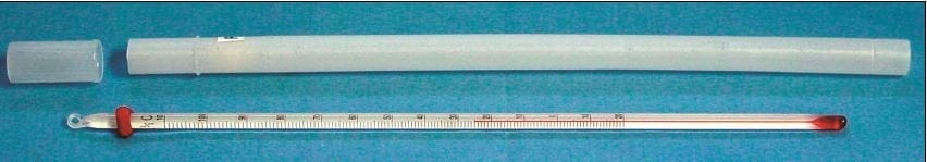 Student Thermometer