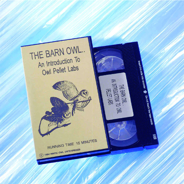 The Barn Owl: Introduction To Owl Pellet Labs Video