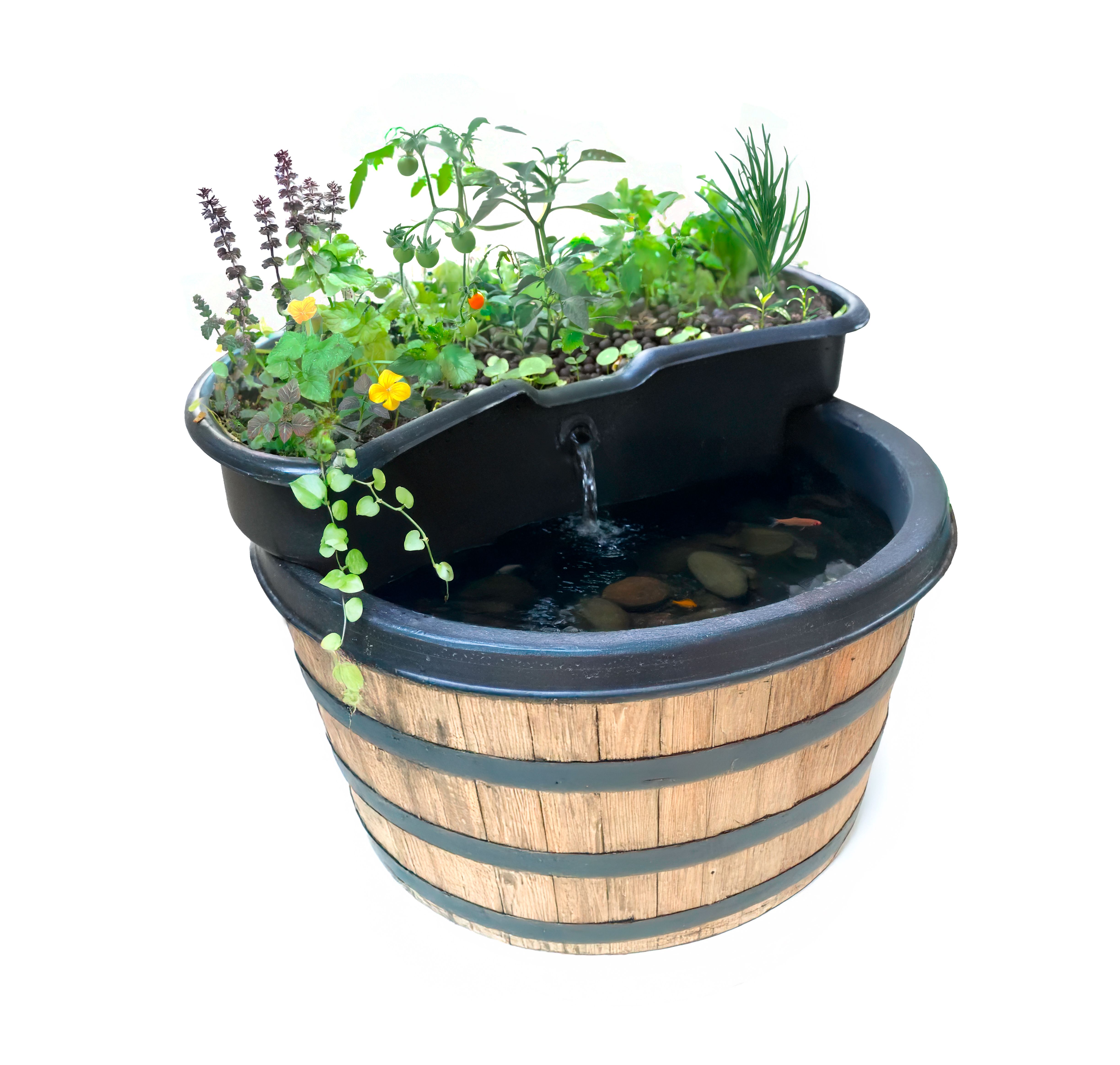 AquaSprouts Universal Pond Garden