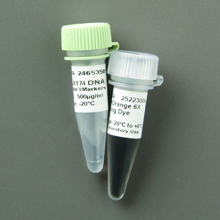 ΦX174 DNA/Hae III Digest