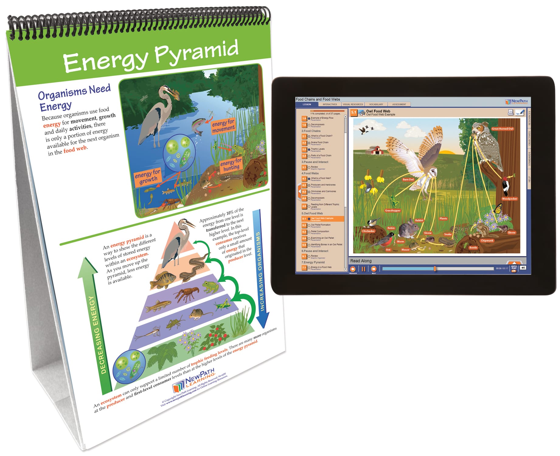 NewPath® Life Science Skill Builder Flip Charts with Multimedia Lessons